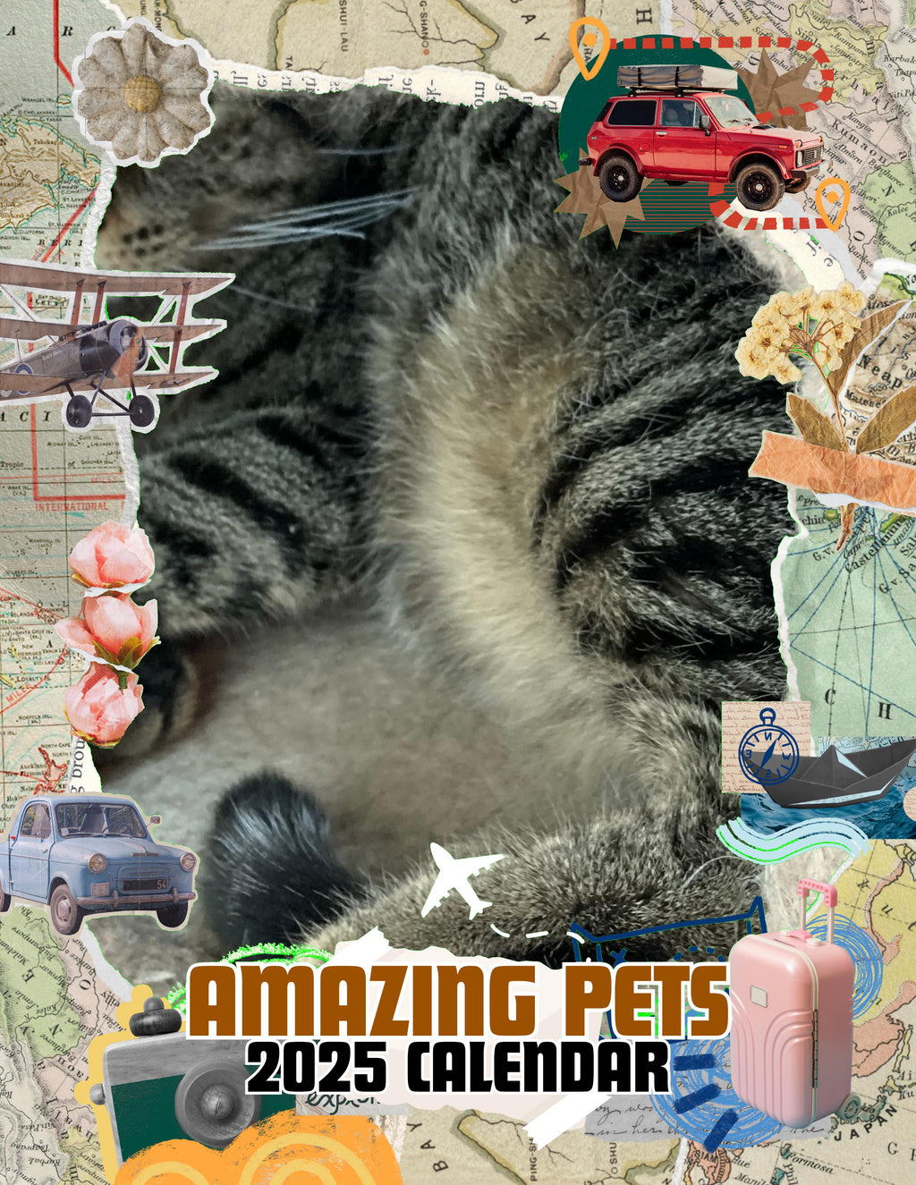 Amazing Pets: 2025 Wall Calendar (Pre-Order)