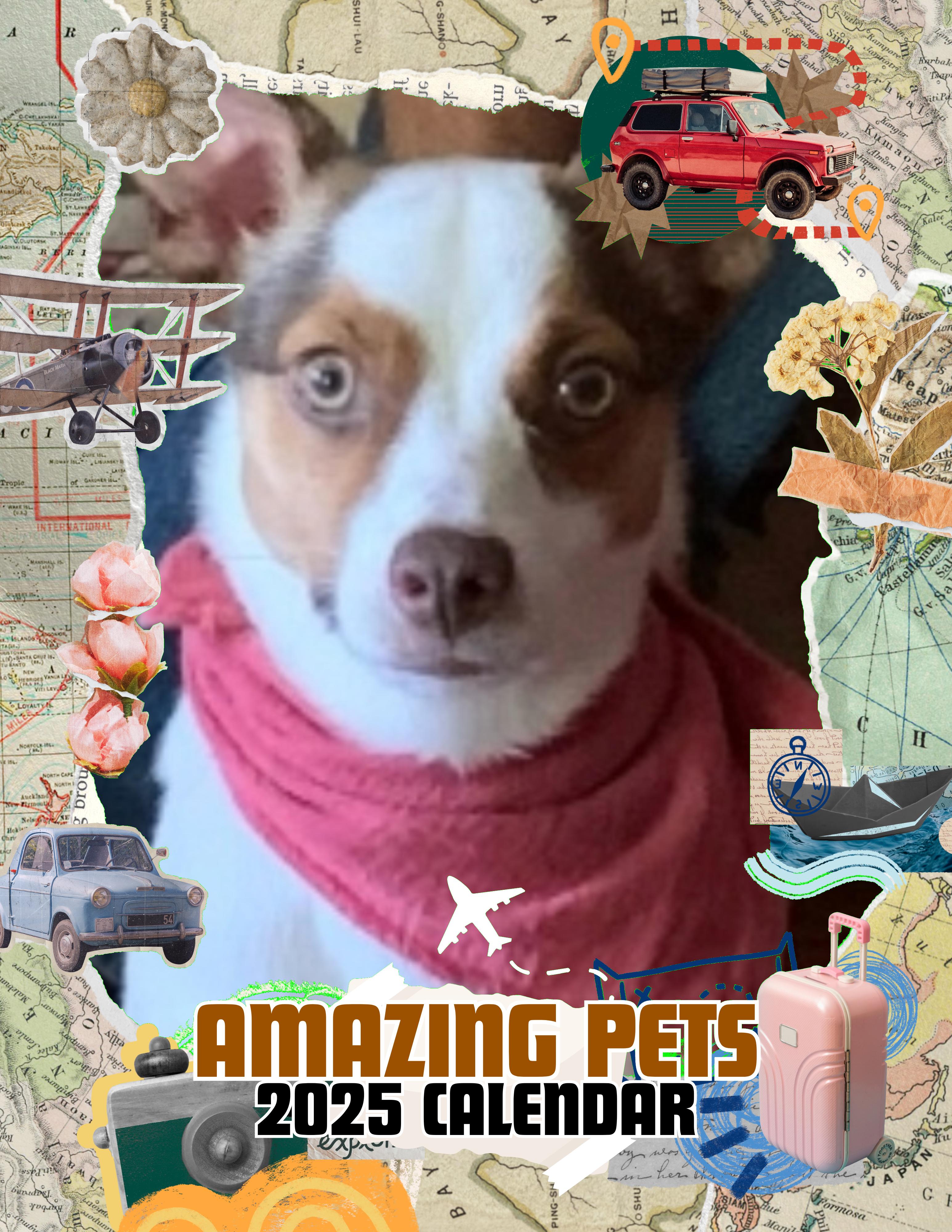 Amazing Pets: 2025 Wall Calendar (Pre-Order)