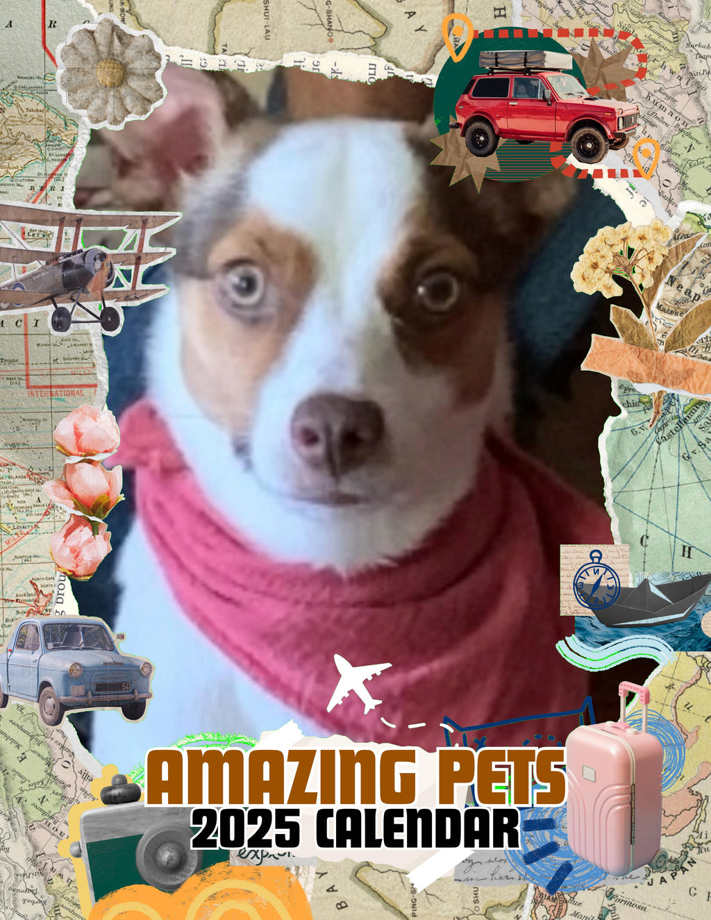 Amazing Pets: 2025 Wall Calendar (Pre-Order)