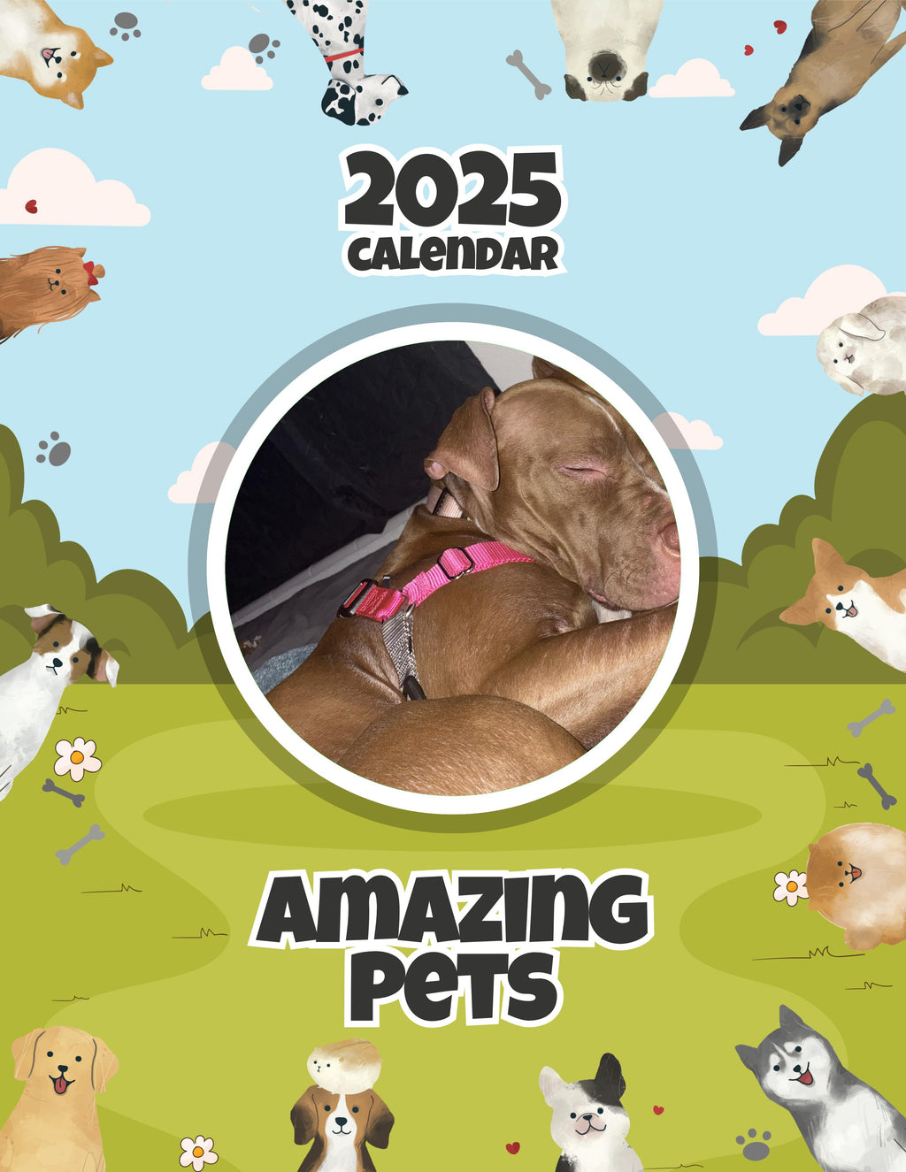 Amazing Pets: 2025 Wall Calendar (Pre-Order)