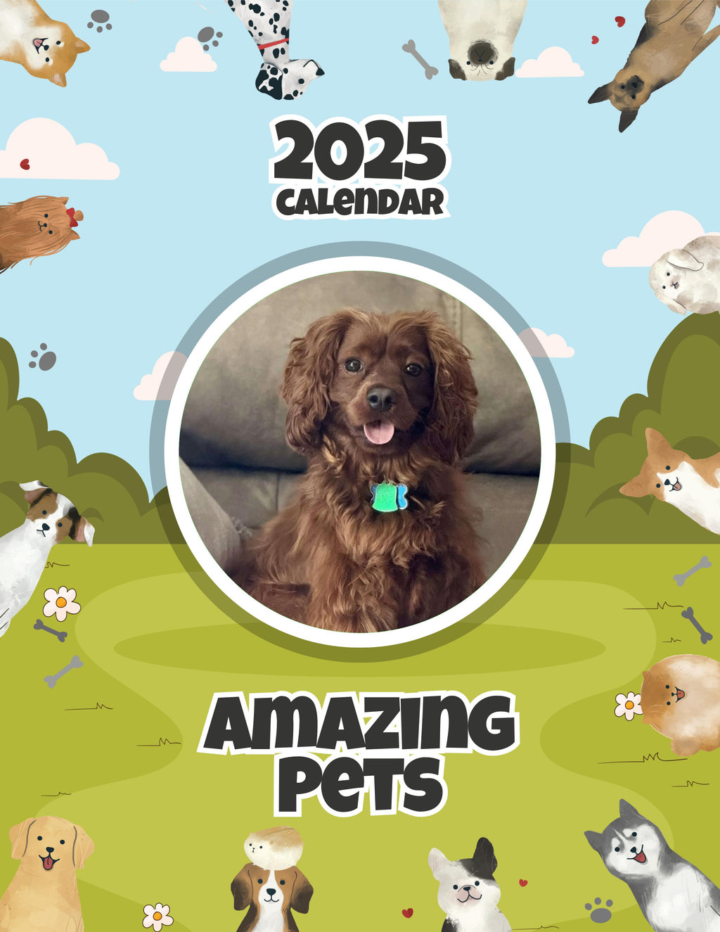 Amazing Pets: 2025 Wall Calendar (Pre-Order)