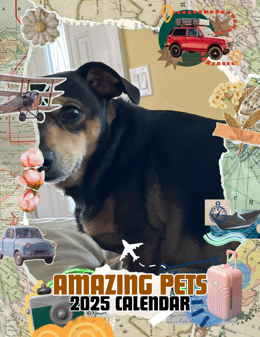 Amazing Pets: 2025 Wall Calendar (Pre-Order)