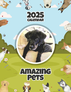 Amazing Pets: 2025 Wall Calendar (Pre-Order)