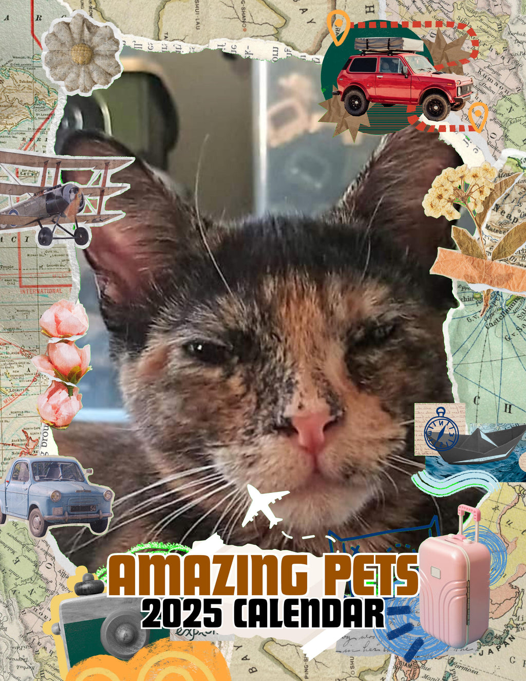 Amazing Pets: 2025 Wall Calendar (Pre-Order)