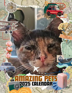 Amazing Pets: 2025 Wall Calendar (Pre-Order)