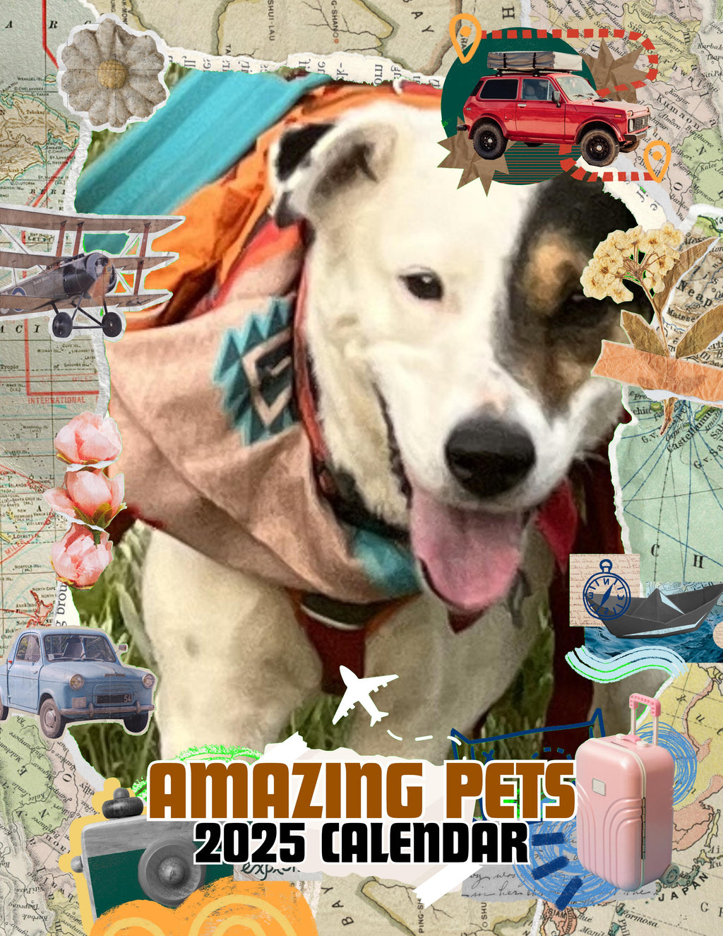 Amazing Pets: 2025 Wall Calendar (Pre-Order)
