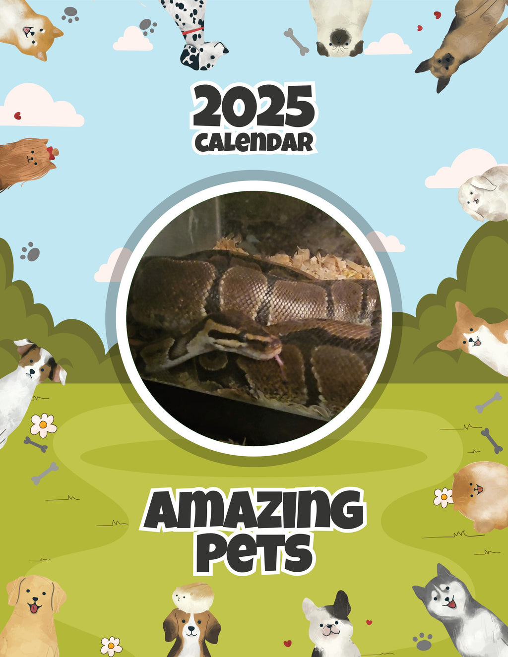 Amazing Pets: 2025 Wall Calendar (Pre-Order)