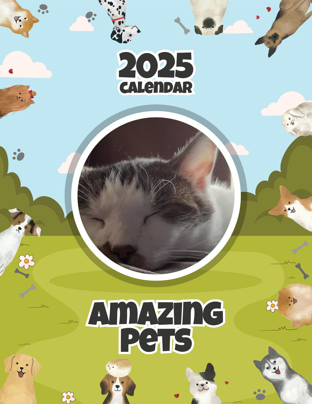 Amazing Pets: 2025 Wall Calendar (Pre-Order)
