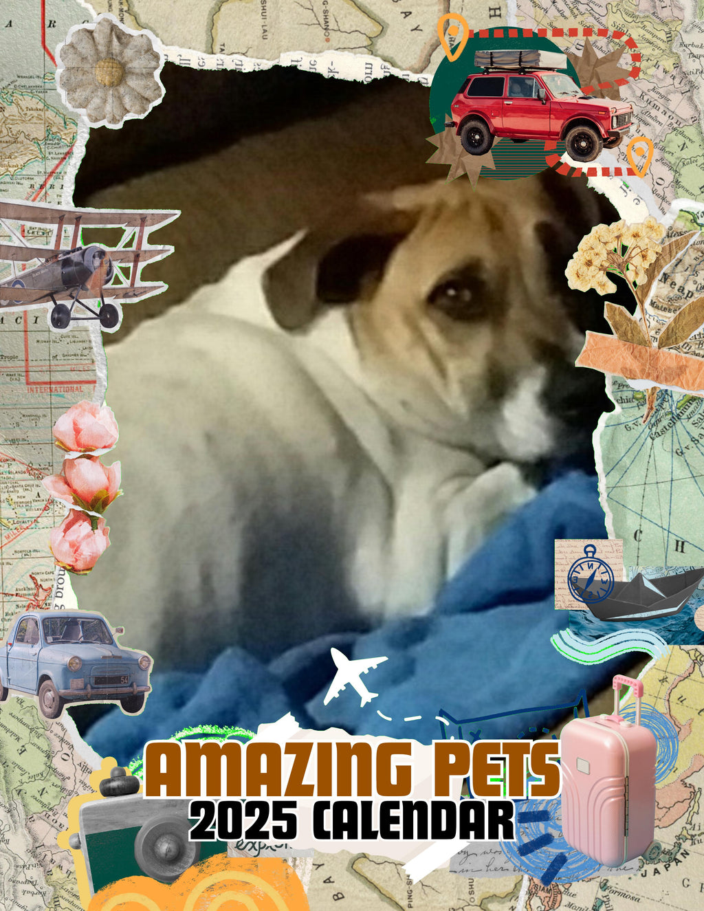 Amazing Pets: 2025 Wall Calendar (Pre-Order)