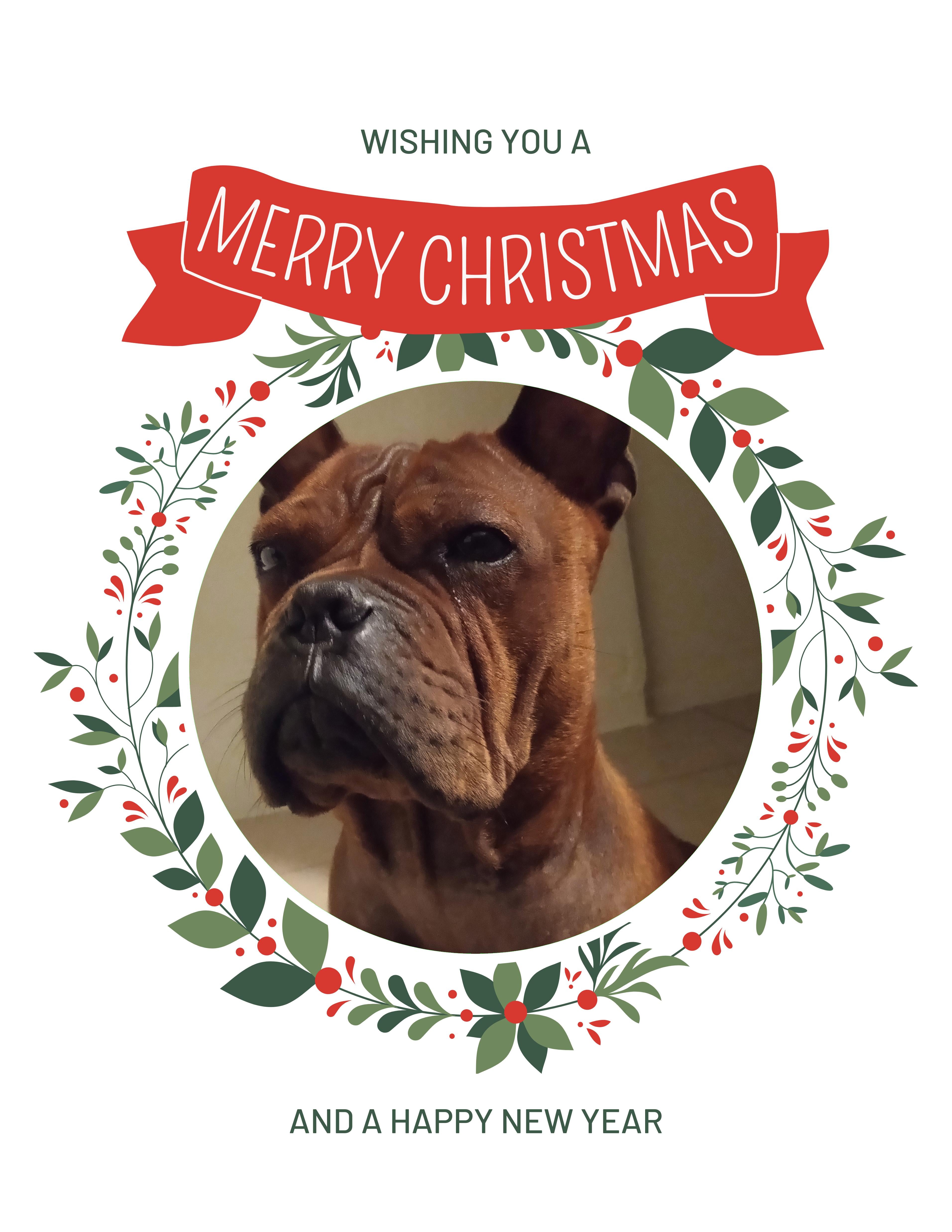 47 Ronin Christmas Greeting Cards