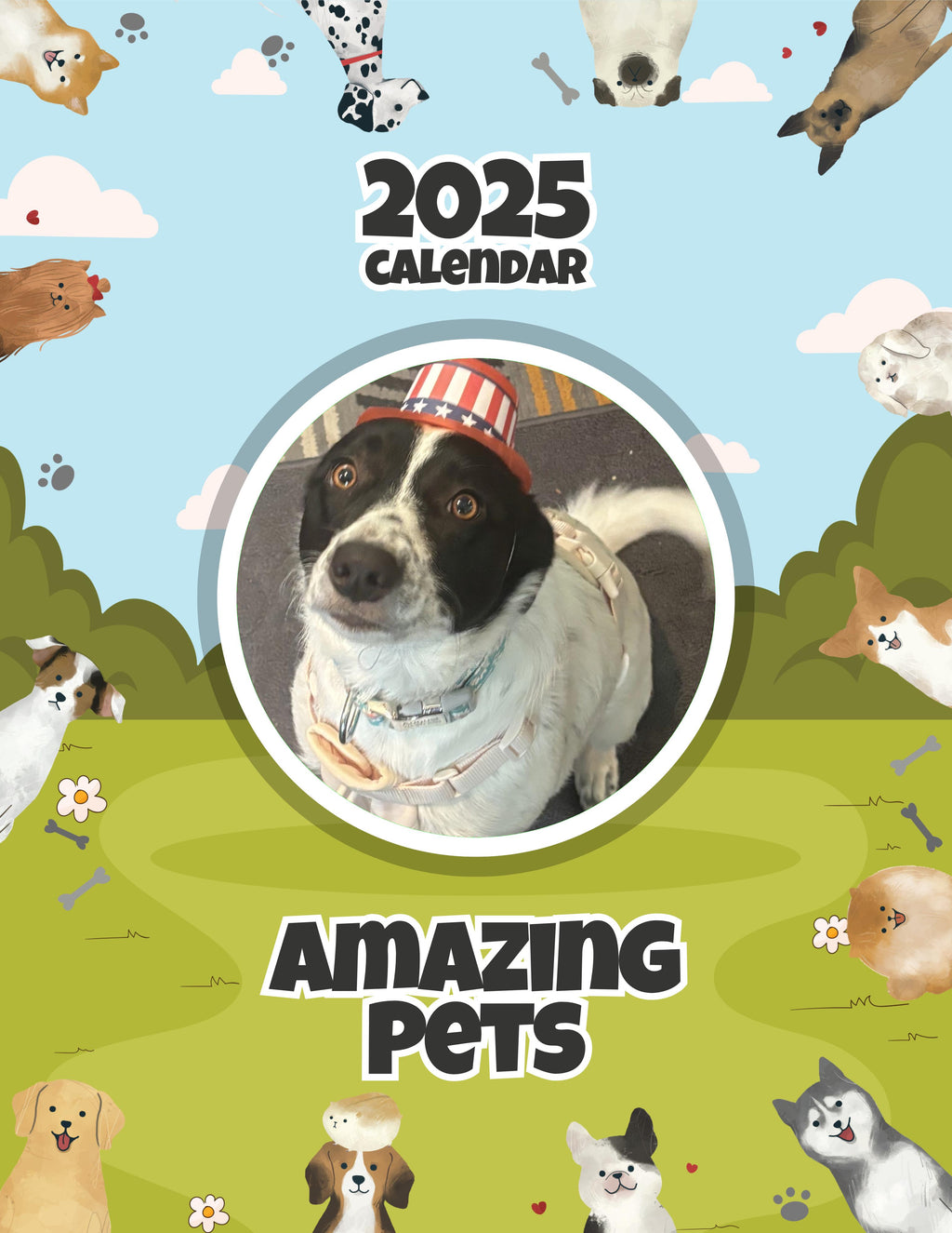 Amazing Pets: 2025 Wall Calendar (Pre-Order)