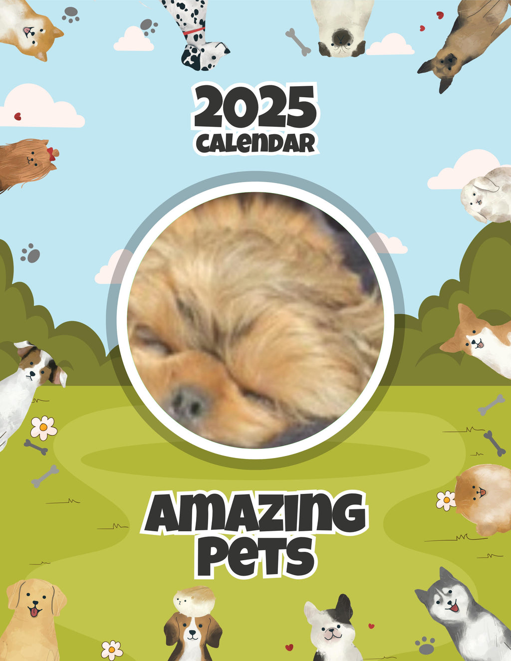 Amazing Pets: 2025 Wall Calendar (Pre-Order)