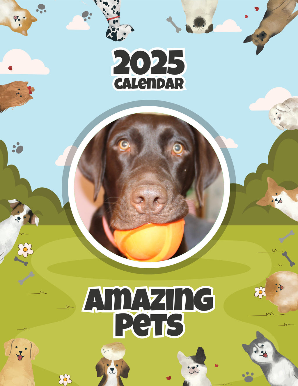 Amazing Pets: 2025 Wall Calendar (Pre-Order)
