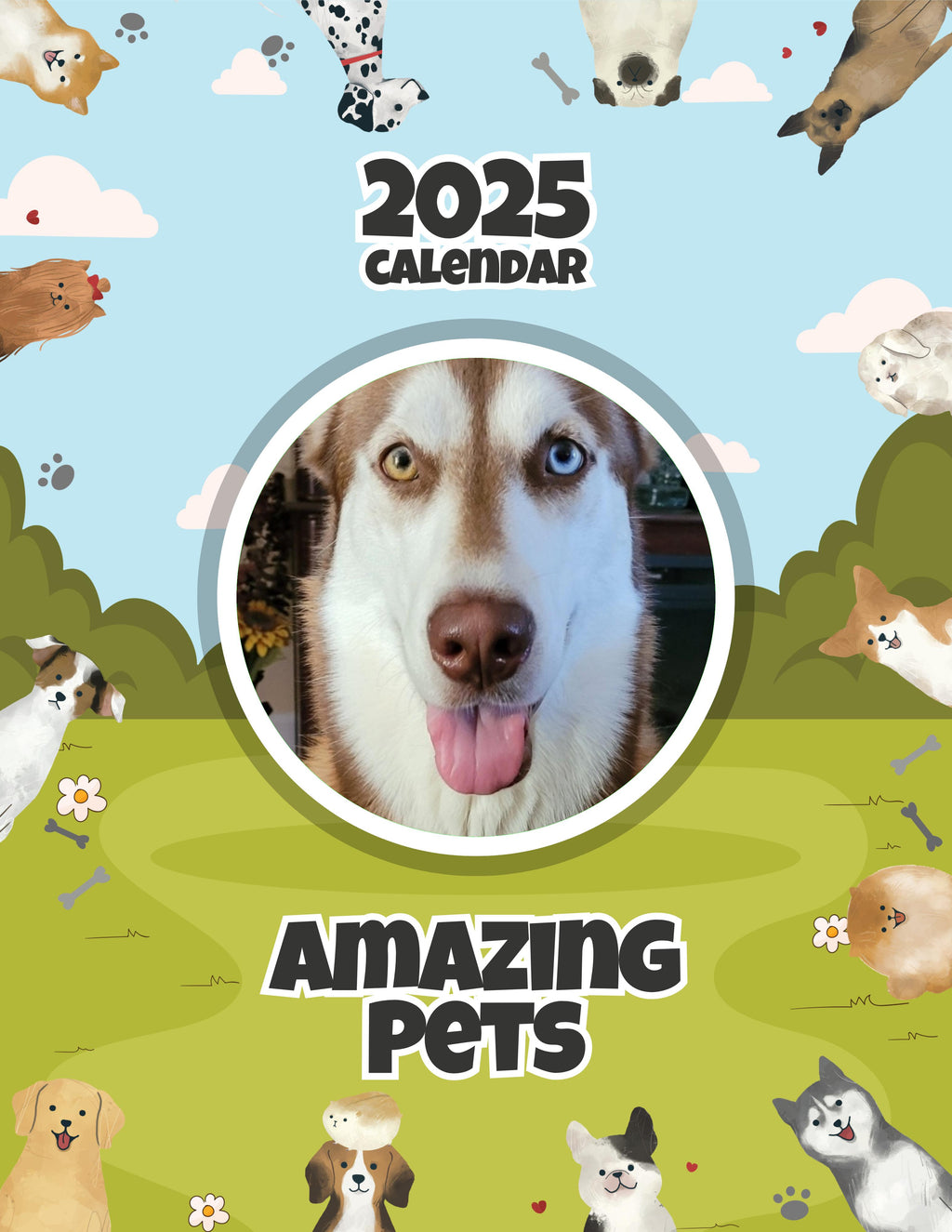 Amazing Pets: 2025 Wall Calendar (Pre-Order)