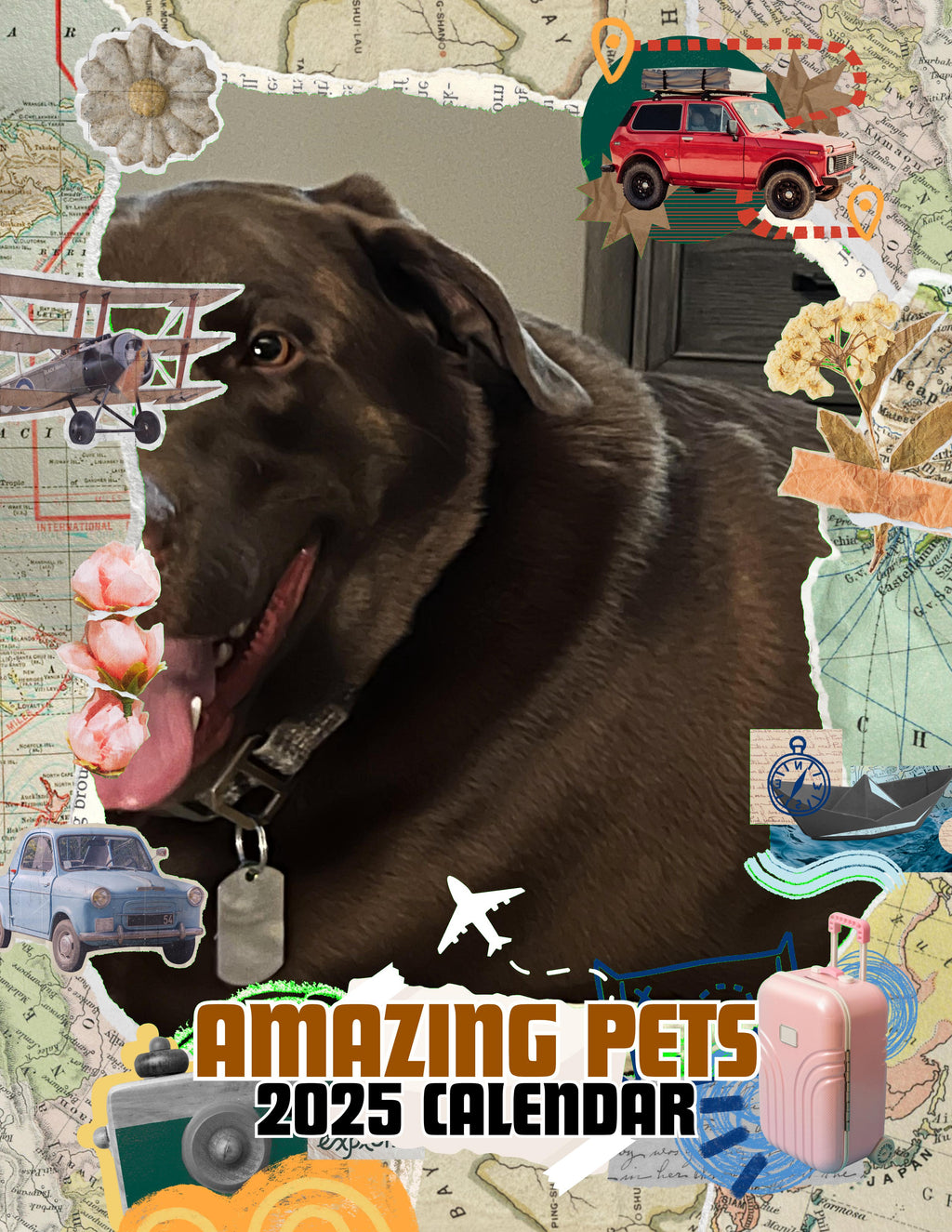 Amazing Pets: 2025 Wall Calendar (Pre-Order)