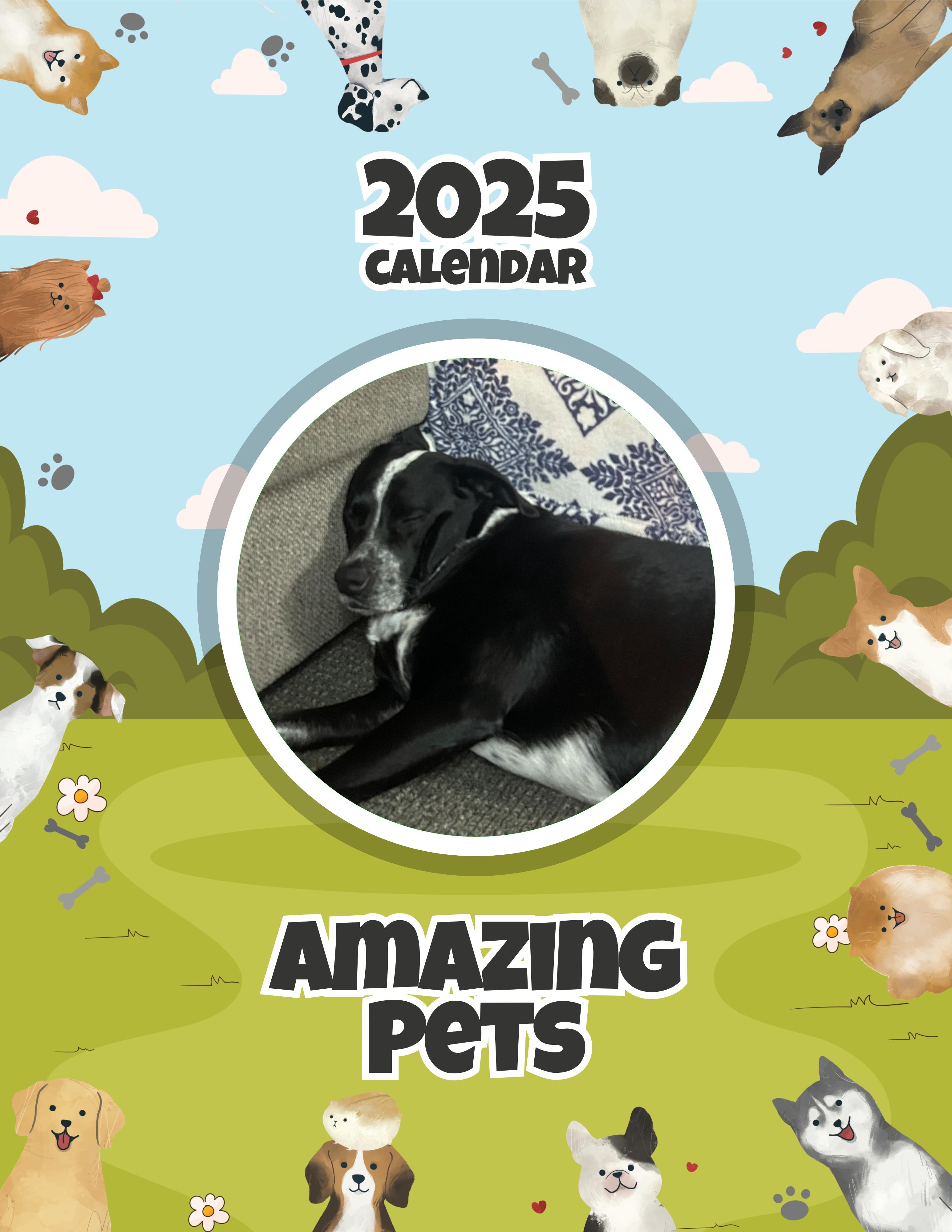 Amazing Pets: 2025 Wall Calendar (Pre-Order)