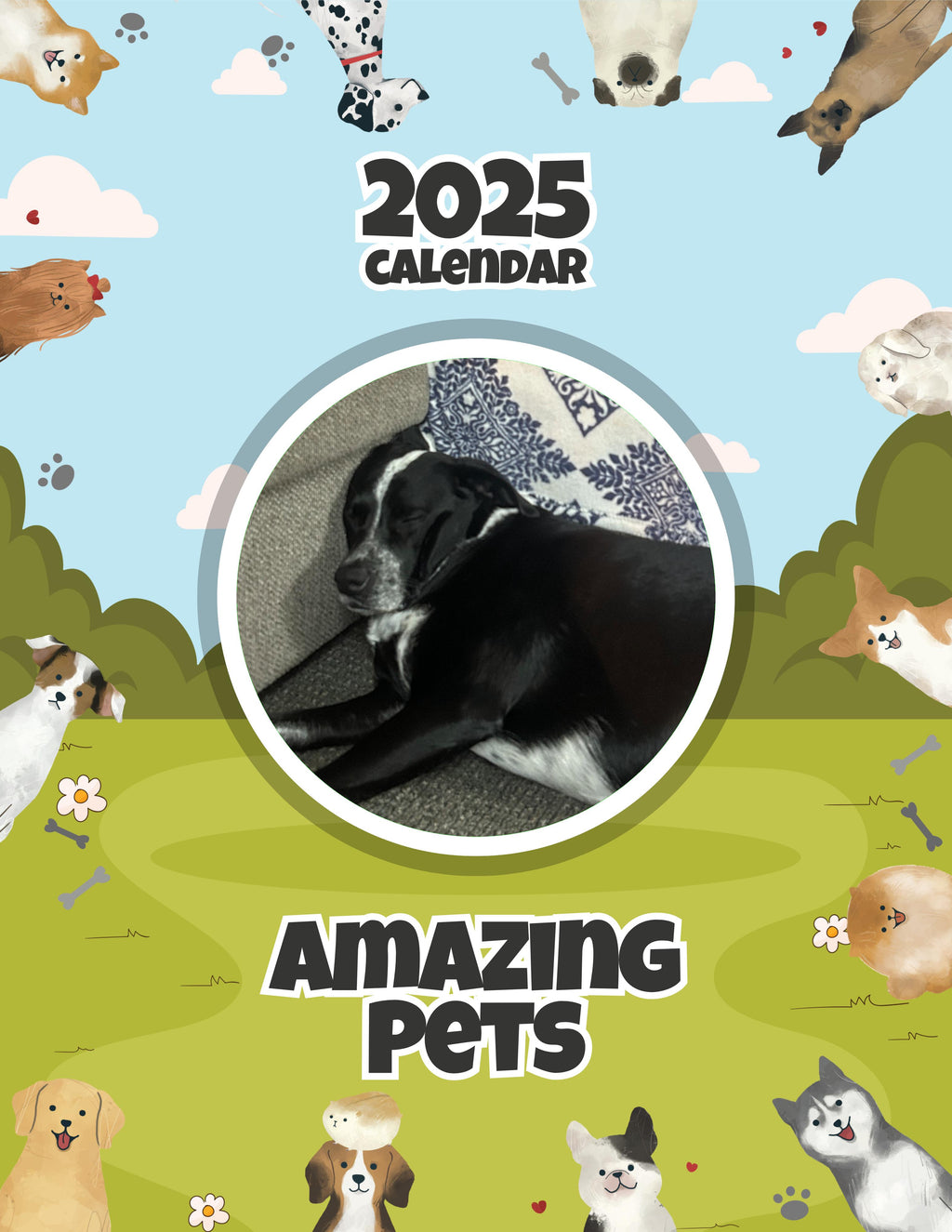 Amazing Pets: 2025 Wall Calendar (Pre-Order)