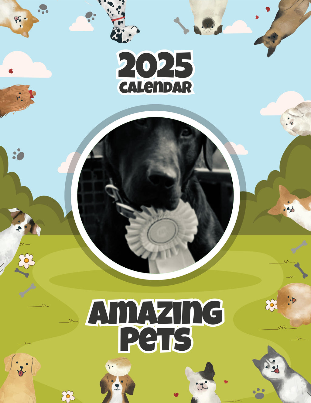 Amazing Pets: 2025 Wall Calendar (Pre-Order)