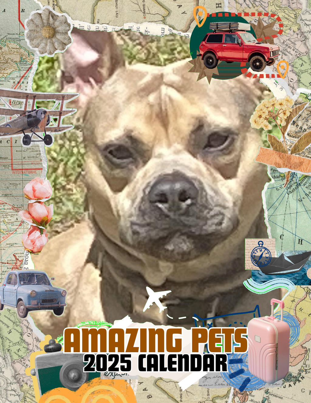 Amazing Pets: 2025 Wall Calendar (Pre-Order)