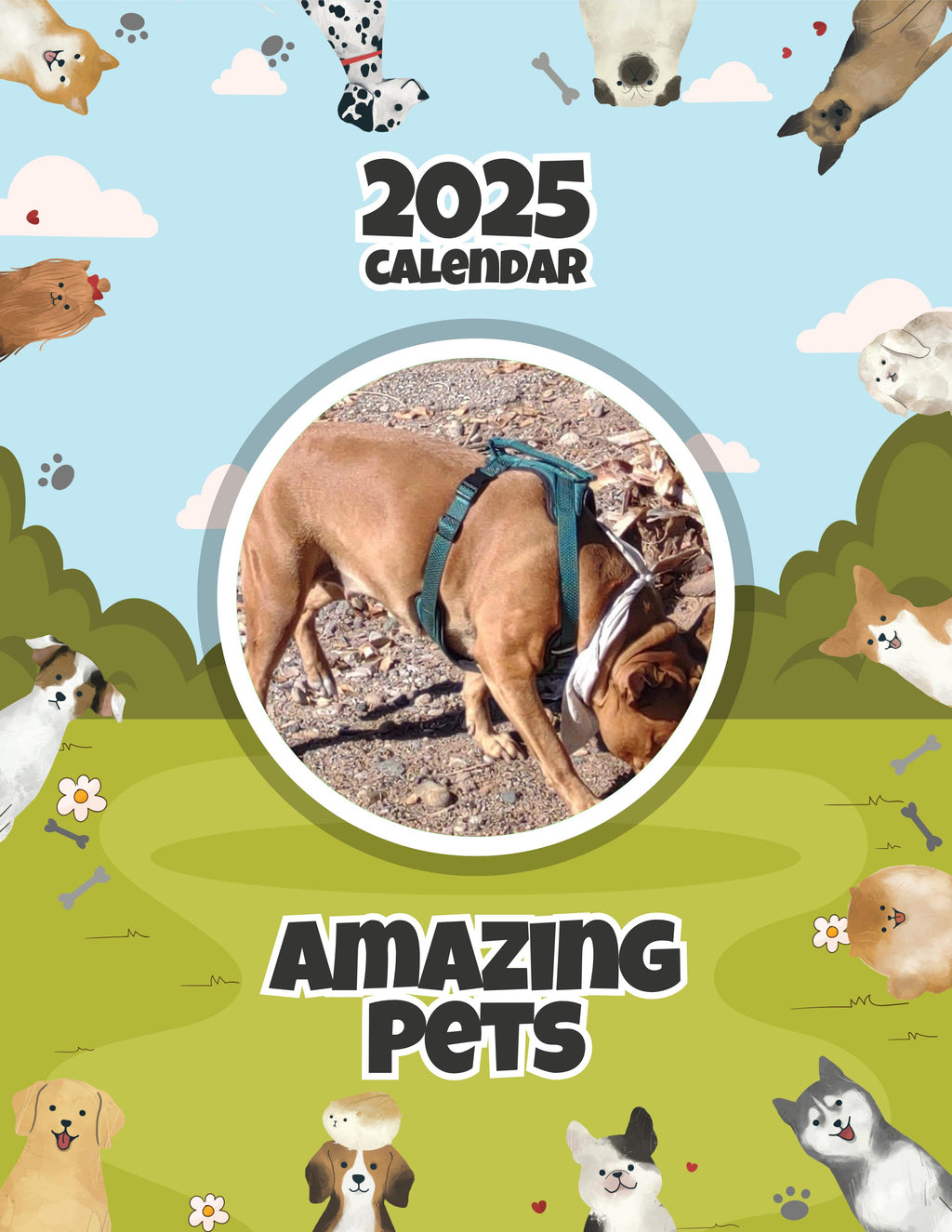 Amazing Pets: 2025 Wall Calendar (Pre-Order)