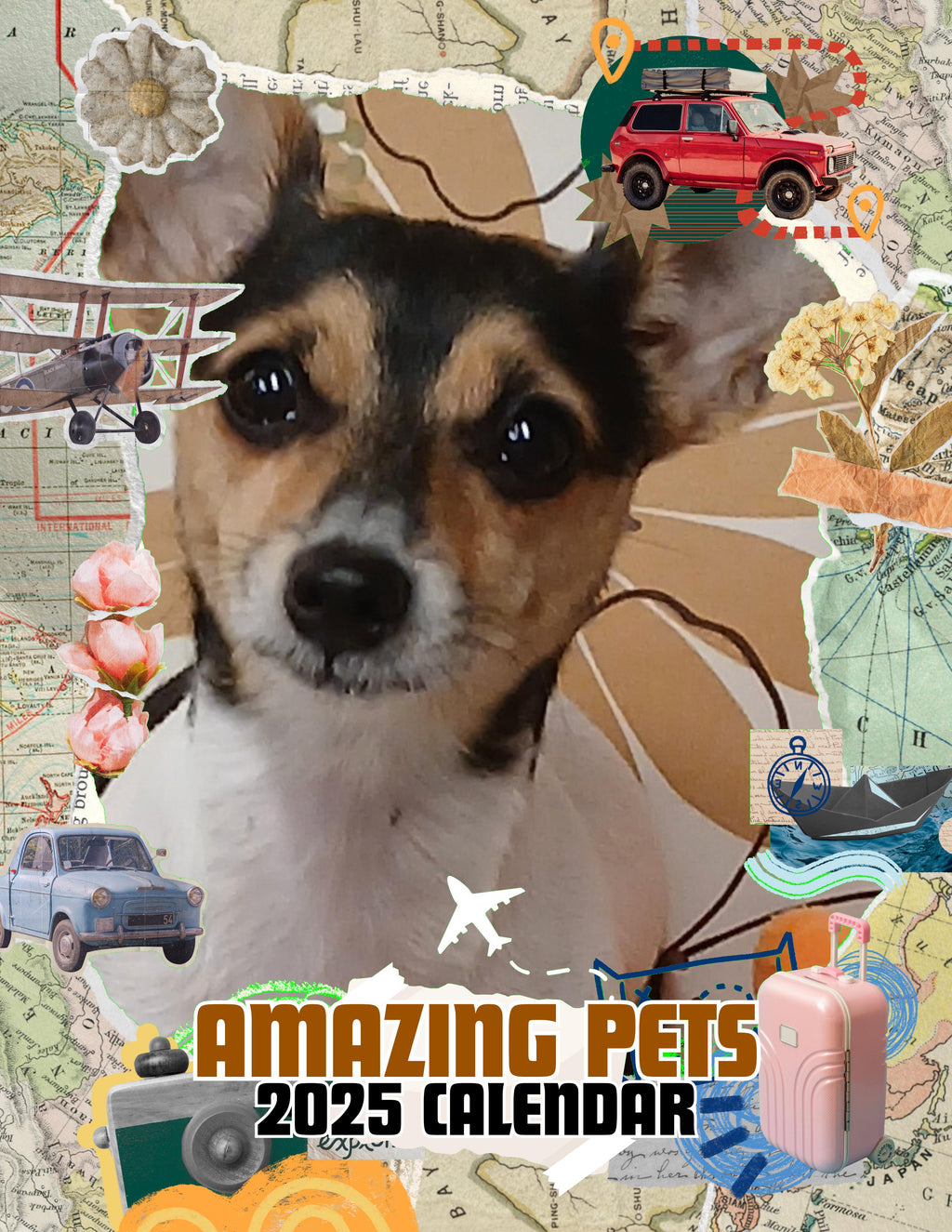 Amazing Pets: 2025 Wall Calendar (Pre-Order)