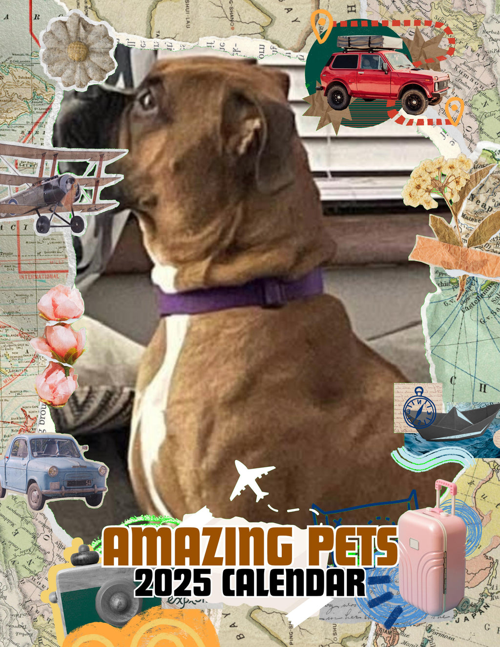 Amazing Pets: 2025 Wall Calendar (Pre-Order)