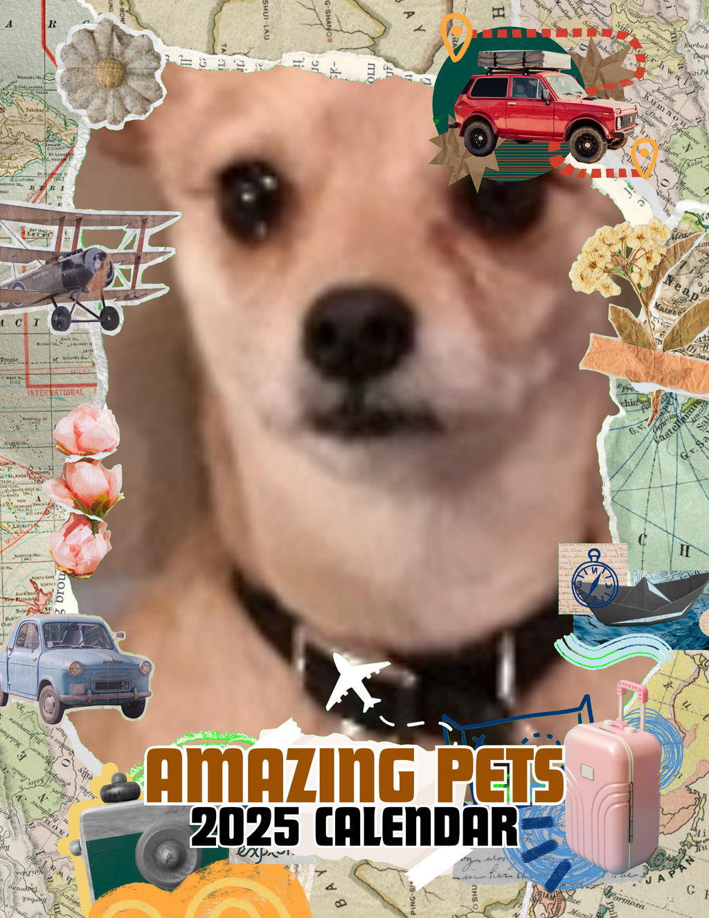 Amazing Pets: 2025 Wall Calendar (Pre-Order)