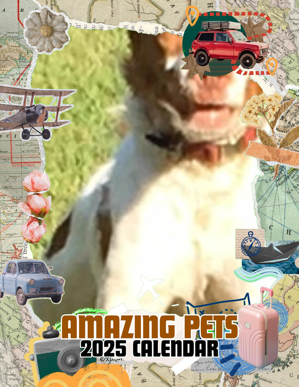 Amazing Pets: 2025 Wall Calendar (Pre-Order)