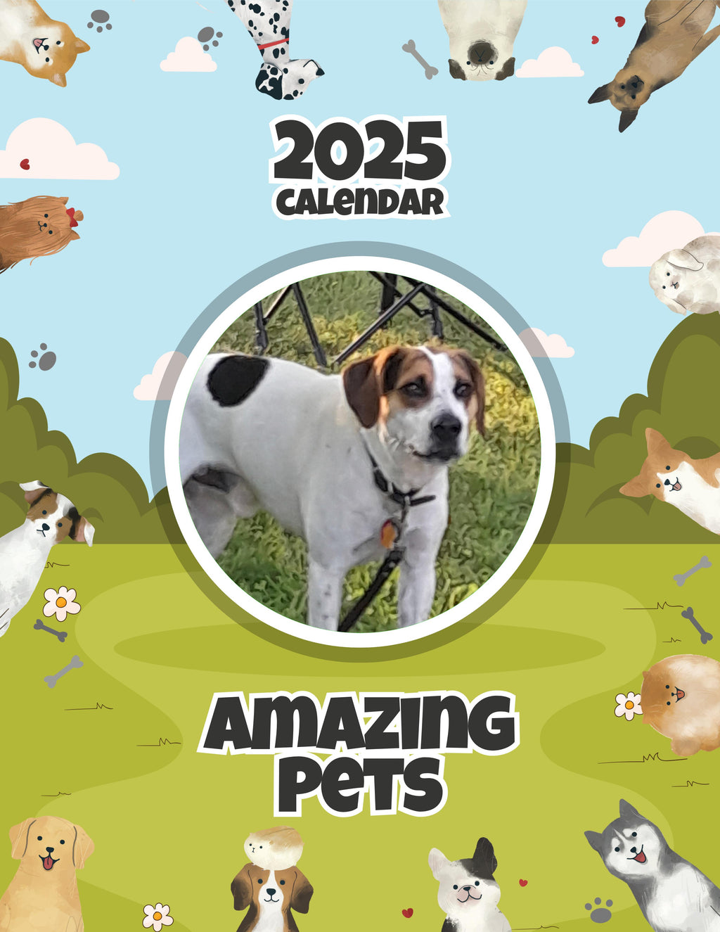 Amazing Pets: 2025 Wall Calendar (Pre-Order)