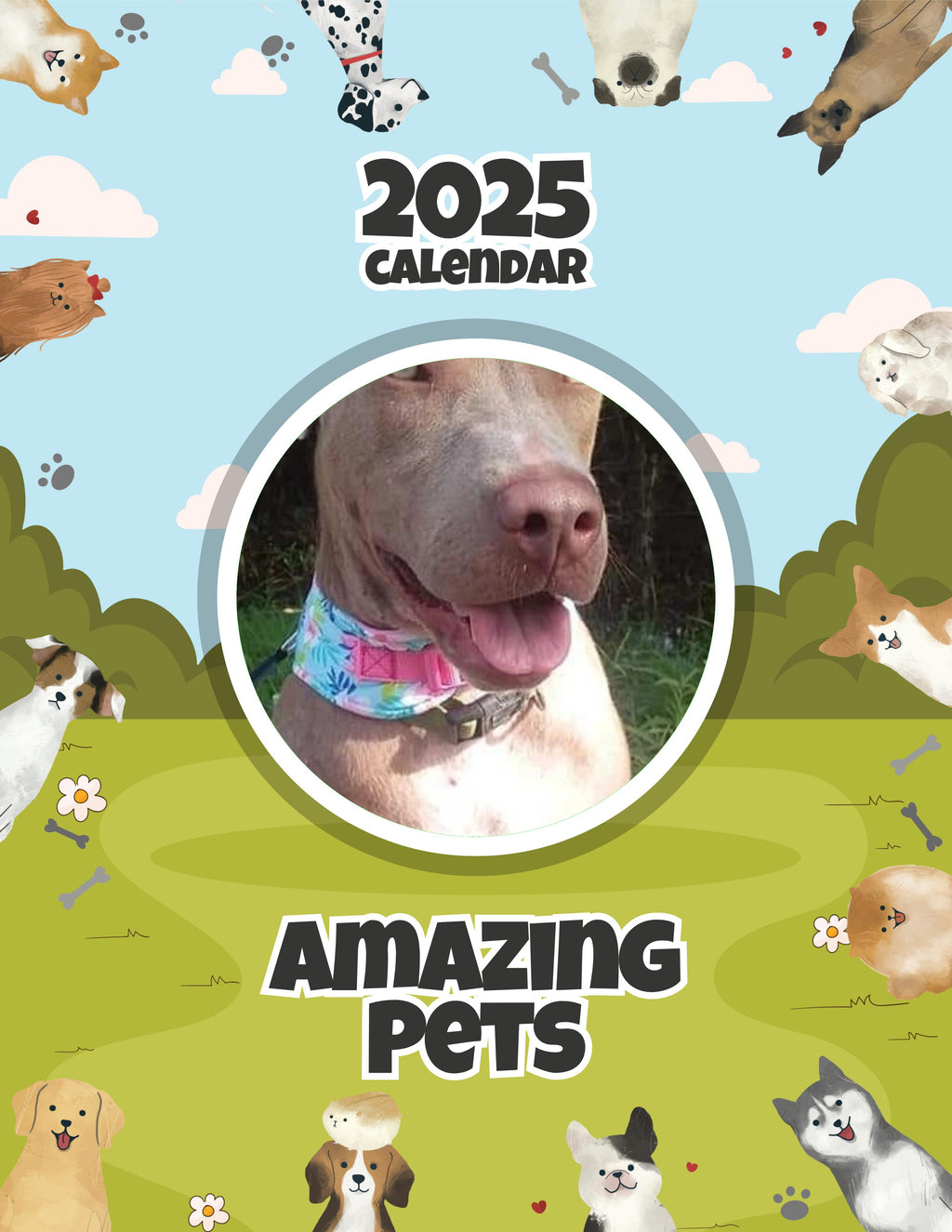 Amazing Pets: 2025 Wall Calendar (Pre-Order)