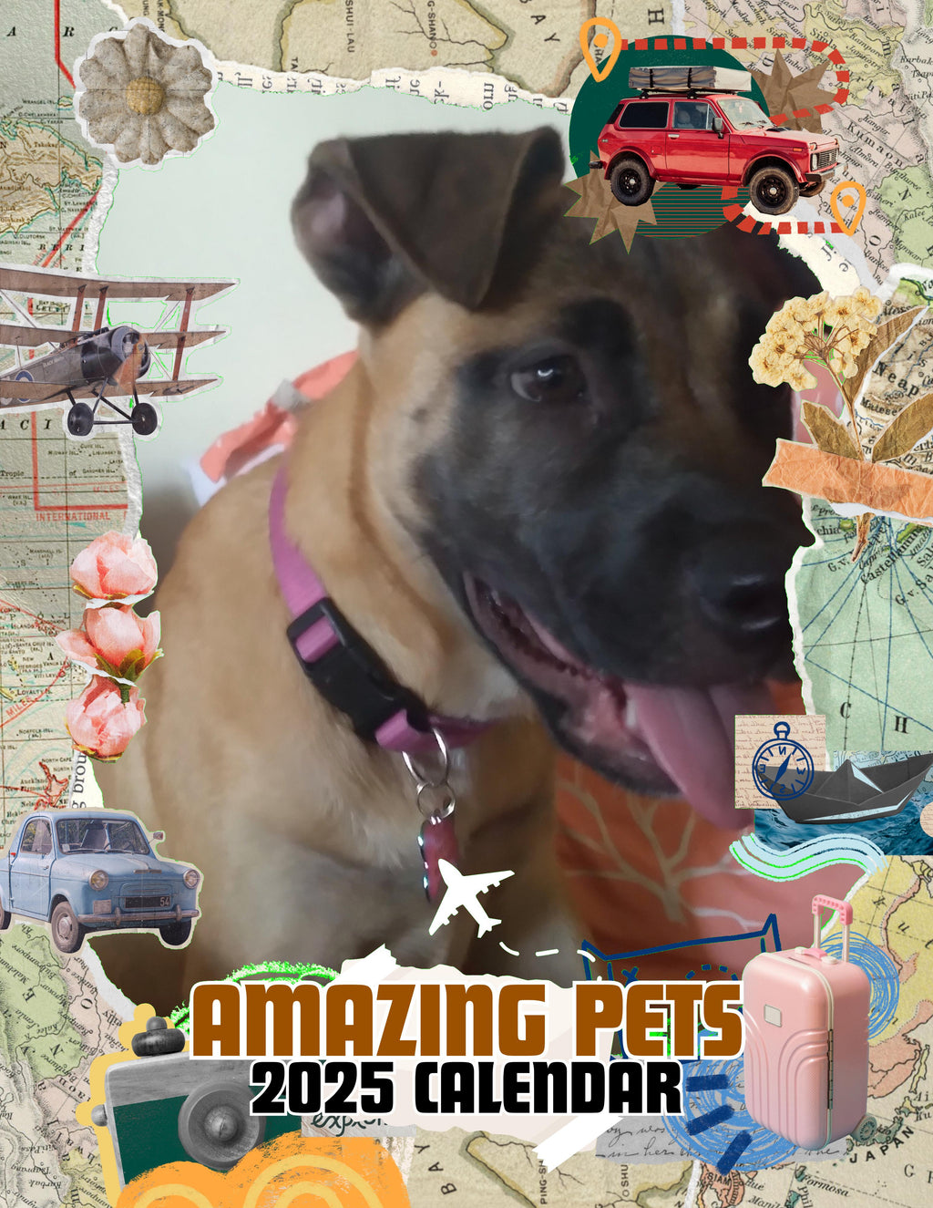 Amazing Pets: 2025 Wall Calendar (Pre-Order)