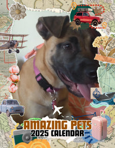 Amazing Pets: 2025 Wall Calendar (Pre-Order)