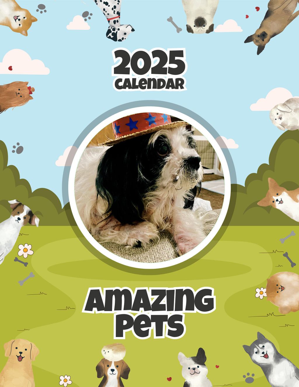 Amazing Pets: 2025 Wall Calendar (Pre-Order)