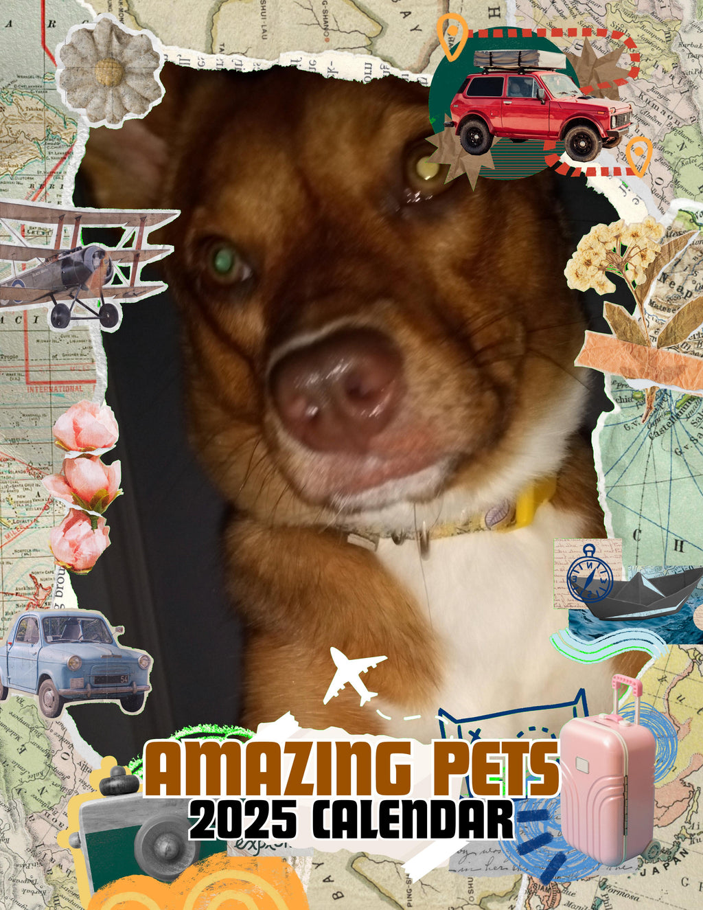 Amazing Pets: 2025 Wall Calendar (Pre-Order)
