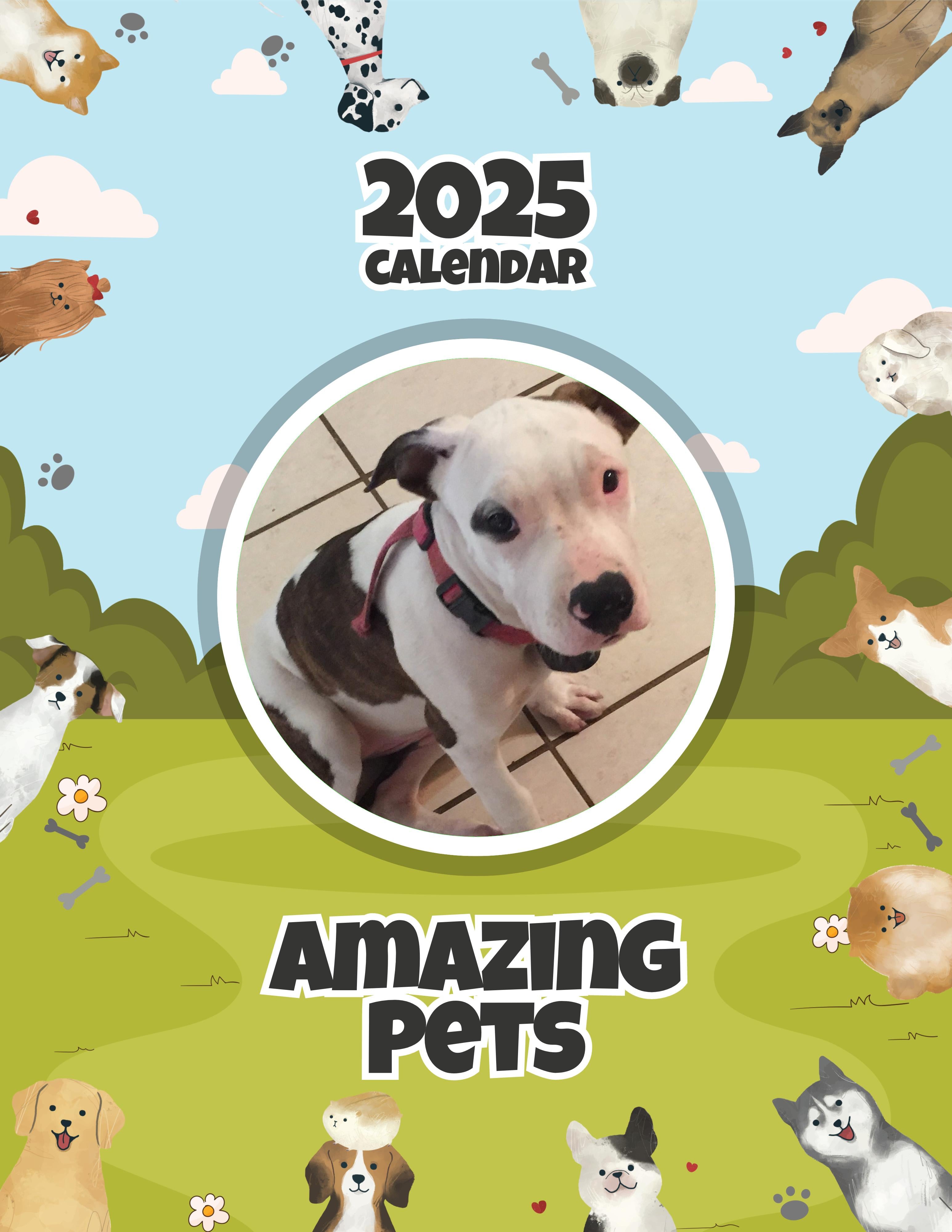 Amazing Pets: 2025 Wall Calendar (Pre-Order)