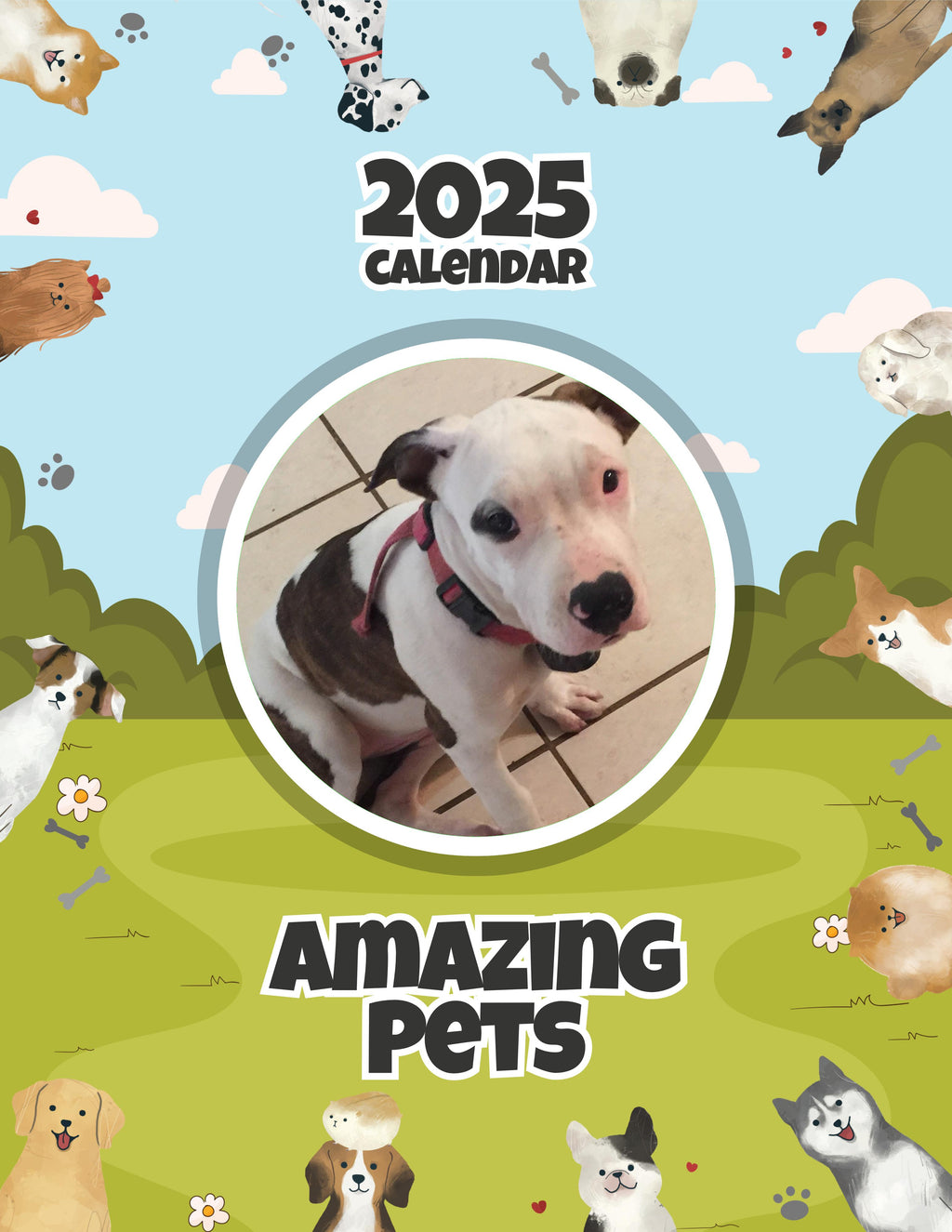 Amazing Pets: 2025 Wall Calendar (Pre-Order)