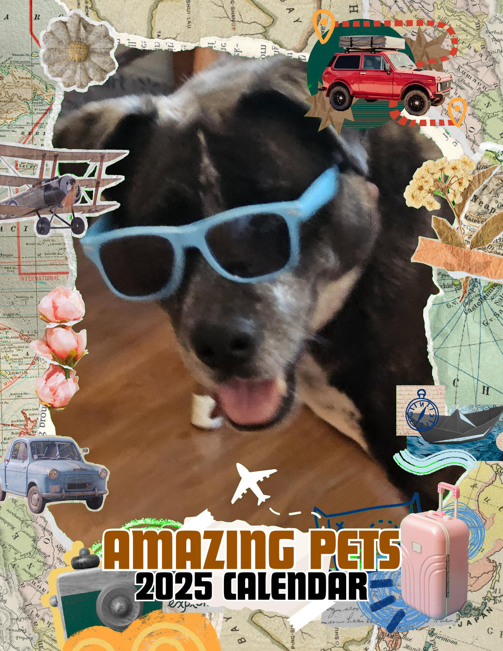 Amazing Pets: 2025 Wall Calendar (Pre-Order)