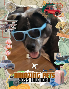 Amazing Pets: 2025 Wall Calendar (Pre-Order)