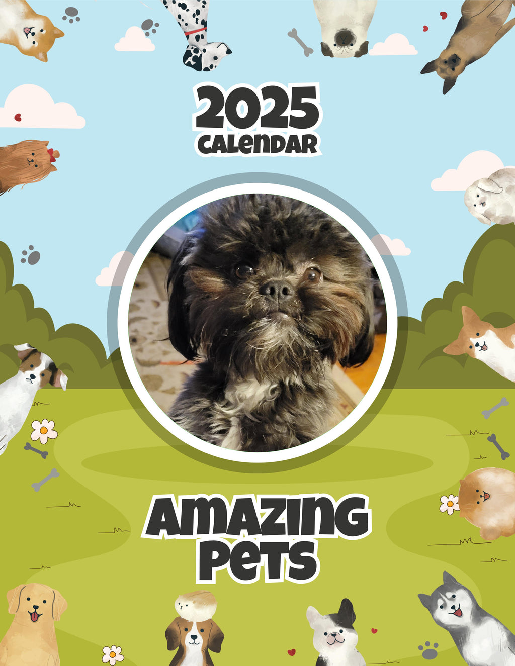 Amazing Pets: 2025 Wall Calendar (Pre-Order)
