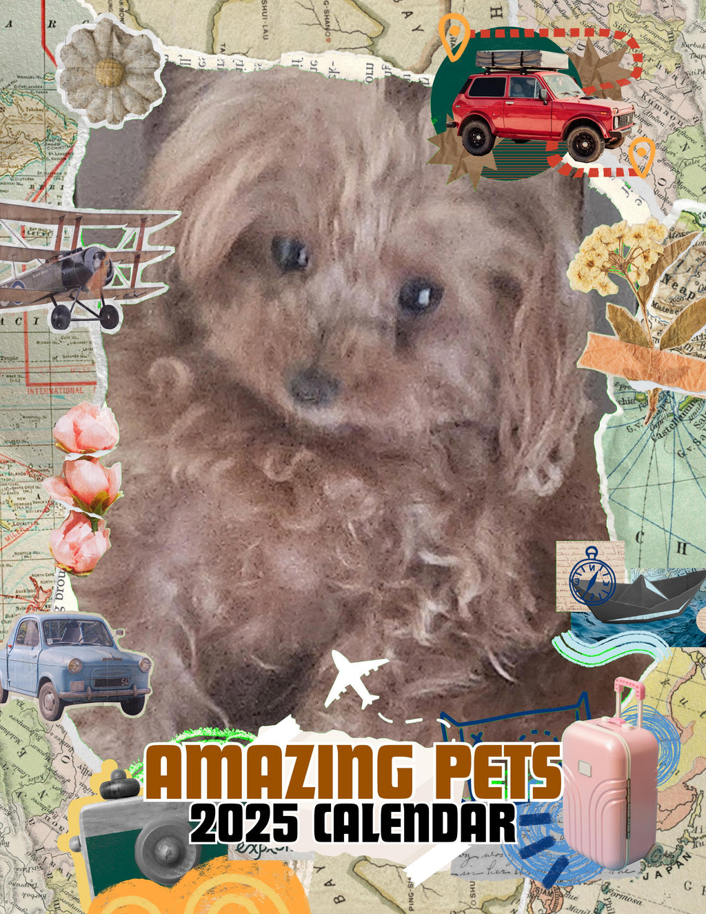 Amazing Pets: 2025 Wall Calendar (Pre-Order)
