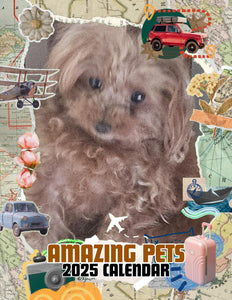Amazing Pets: 2025 Wall Calendar (Pre-Order)