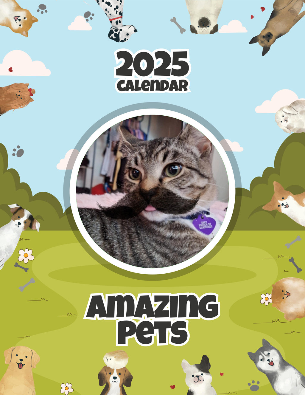 Amazing Pets: 2025 Wall Calendar (Pre-Order)