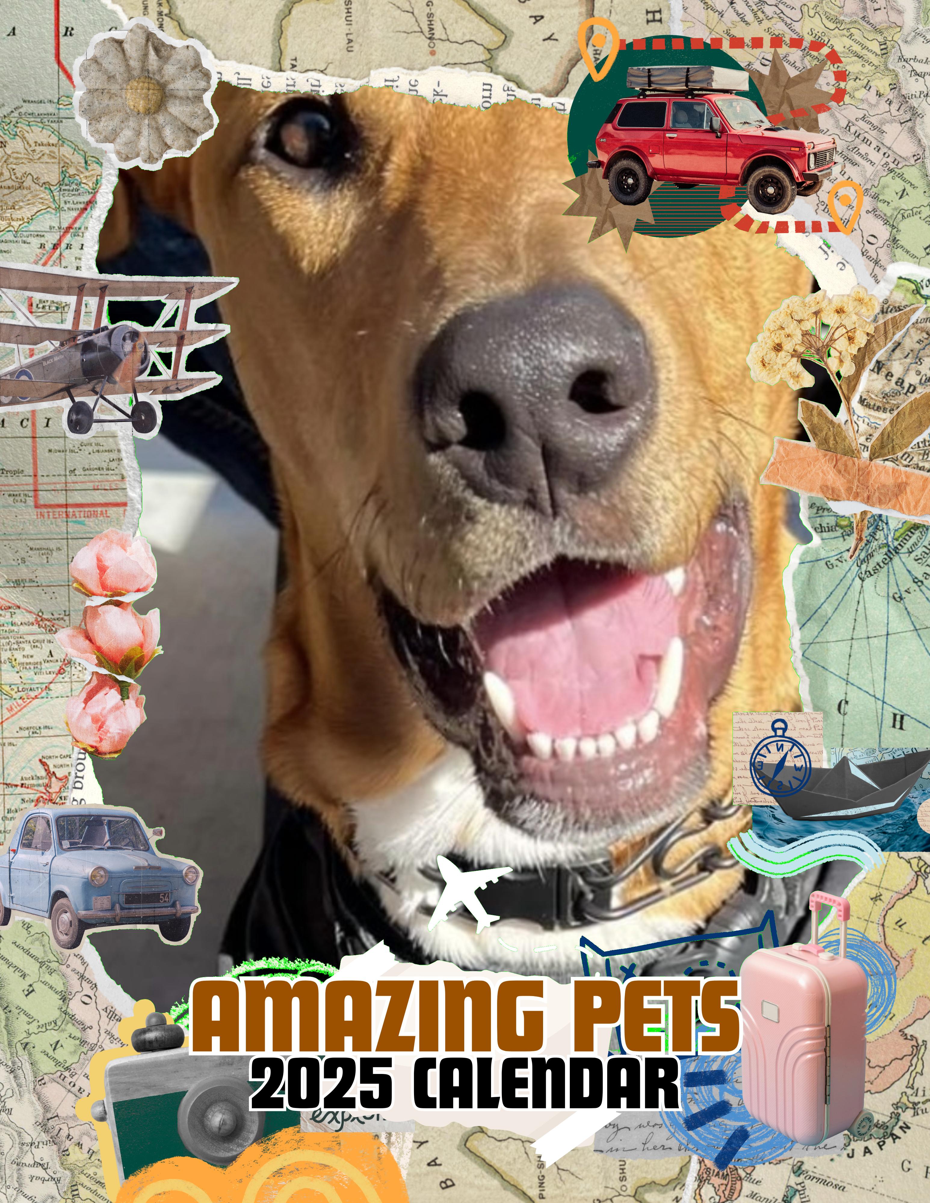 Amazing Pets: 2025 Wall Calendar (Pre-Order)