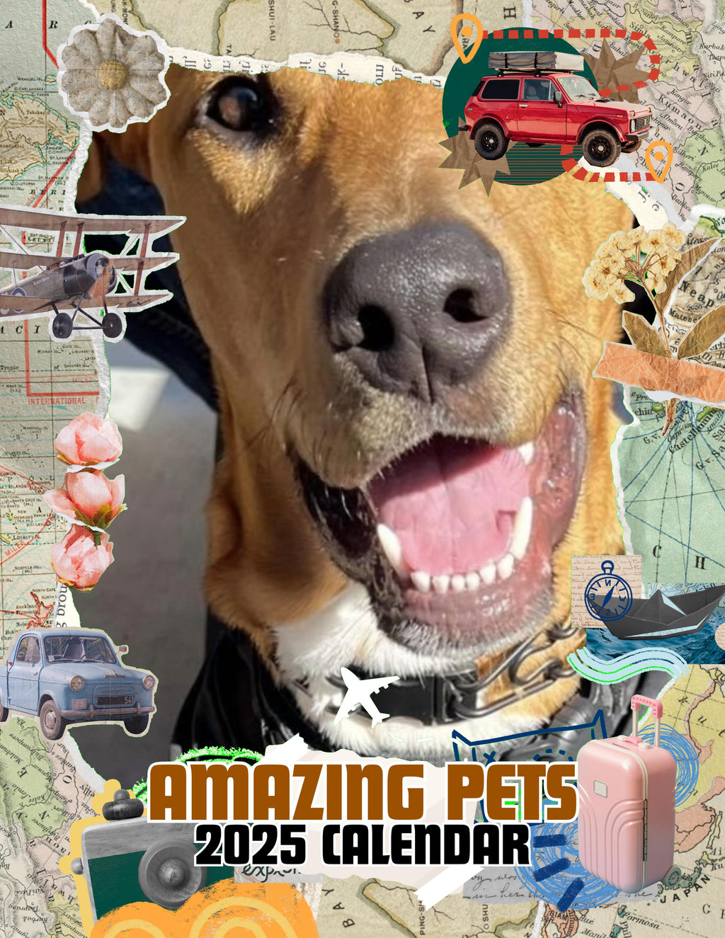 Amazing Pets: 2025 Wall Calendar (Pre-Order)