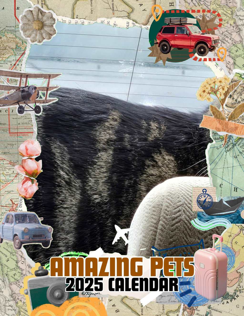 Amazing Pets: 2025 Wall Calendar (Pre-Order)