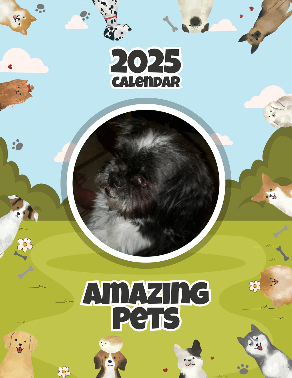 Amazing Pets: 2025 Wall Calendar (Pre-Order)