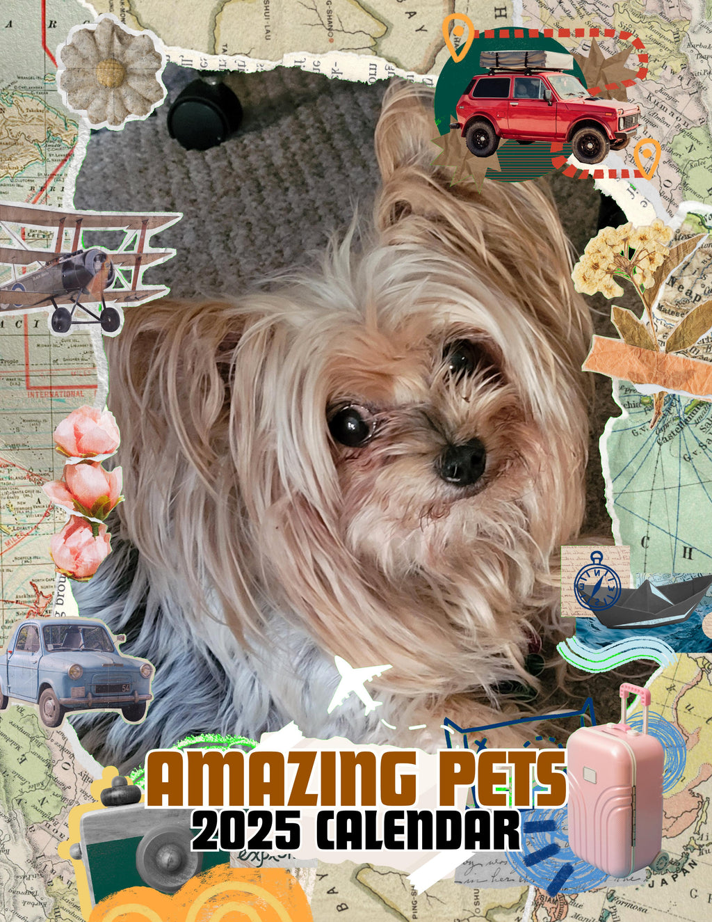 Amazing Pets: 2025 Wall Calendar (Pre-Order)