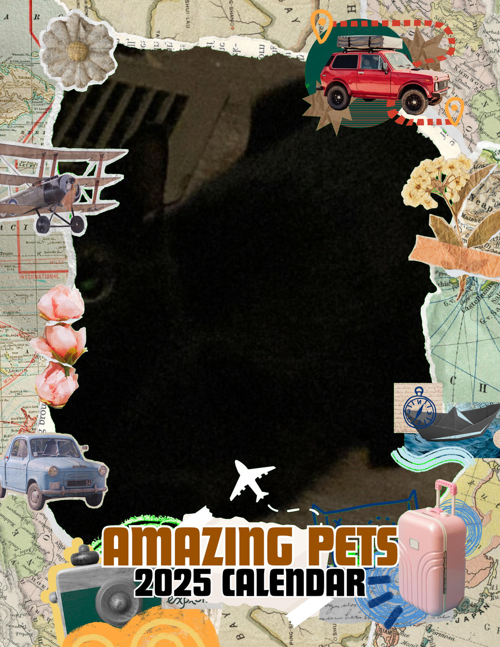 Amazing Pets: 2025 Wall Calendar (Pre-Order)