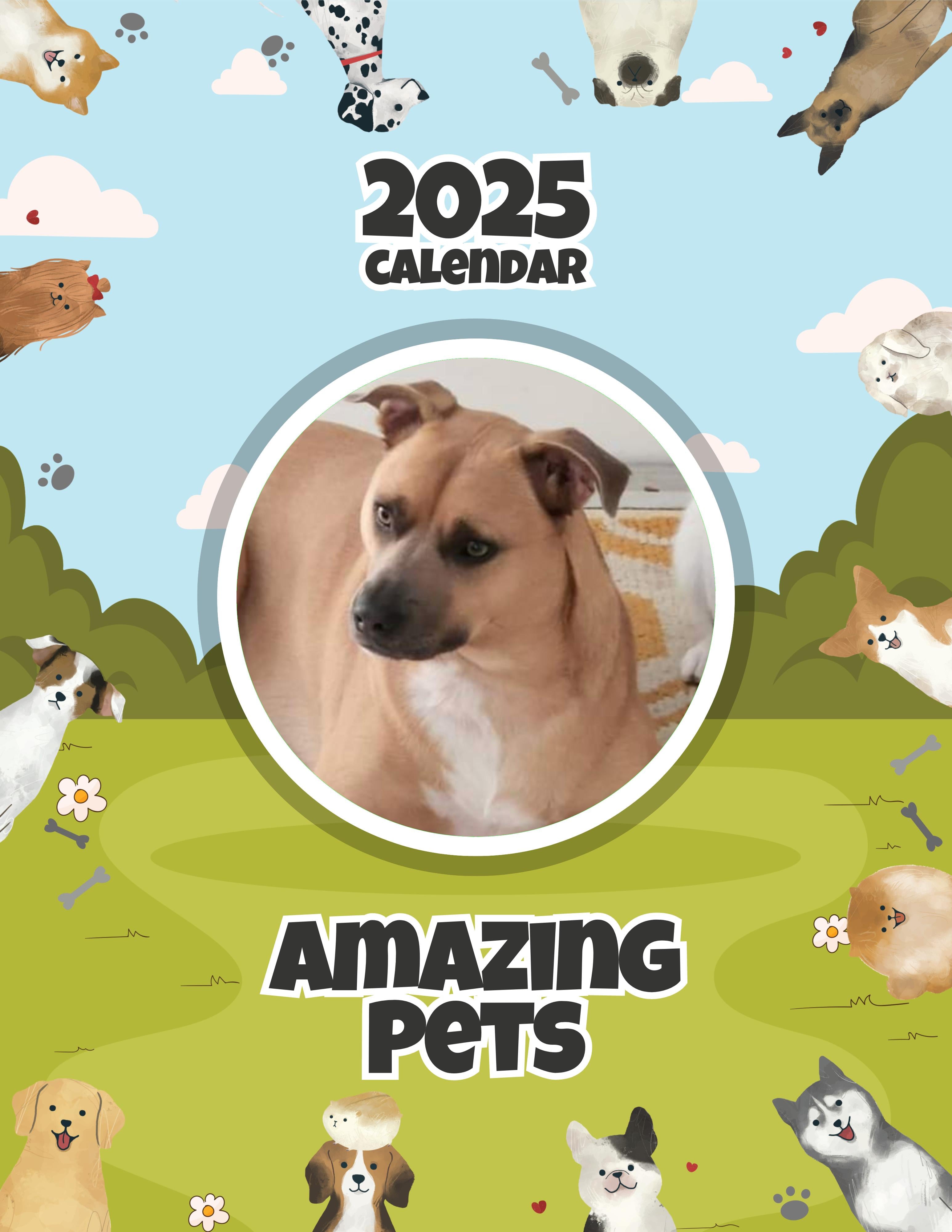 Amazing Pets: 2025 Wall Calendar (Pre-Order)