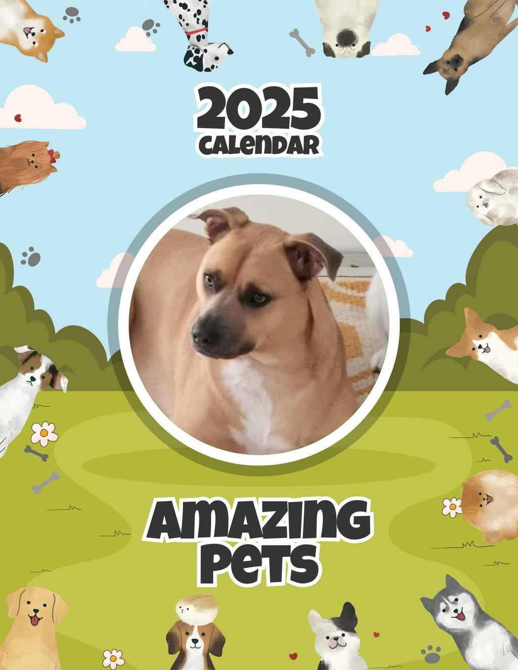 Amazing Pets: 2025 Wall Calendar (Pre-Order)